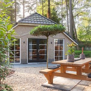 Veluwe Vakantiehuis - Bosuil Lodge